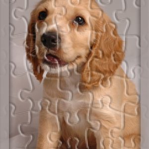 Rompecabeza madera 40 x 60cm